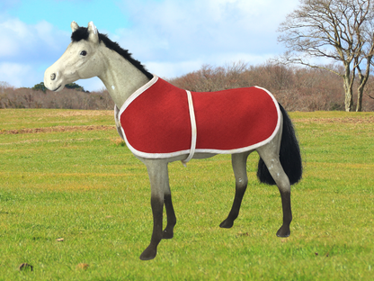 Previously Owned Felted Horse with Red Coat